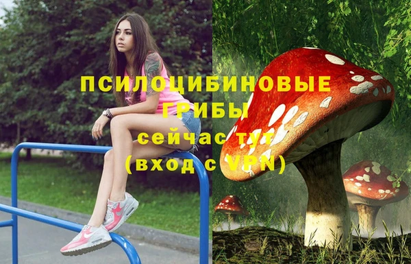круглые Аркадак