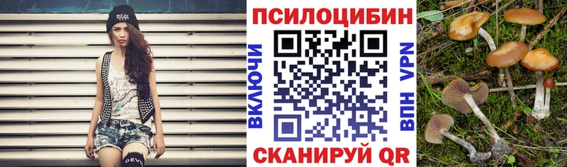 наркотики  Спасск-Рязанский  Псилоцибиновые грибы GOLDEN TEACHER 